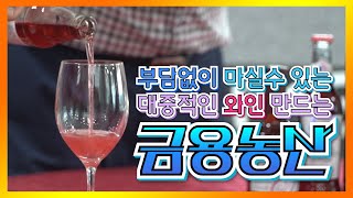 첨단설비를 갖춘 현대회된 와이너리, 영동 금용농산