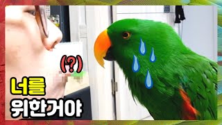 엄마, 거절할게요;; 귀뚜라미는 싫어요!!~