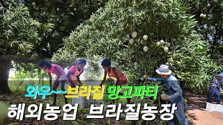 망고파티, 브라질 시골 주택 구경, 나는 자연인이다, …