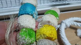 앵무새에 도움되는 앵무새 용품과 앵무새 건강에 좋은 사료들을 함께 알아보았습니다 ^^~~