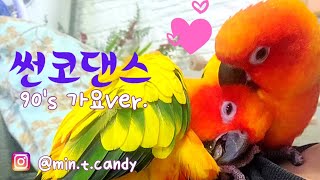 #21_썬코뉴어댄스(춤추는 앵무새)