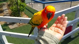 20170503 썬코뉴어라서 그런가