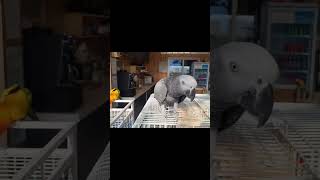 다녀오겠습니다