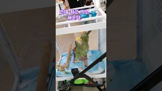 스타필드에서 만난 앵무새 두마리~ 동물농장은 못참지^^…