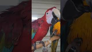 망구가 말을해요♡♡                    …