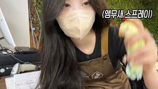 대1박 재밌는 앵무새카페 알바 vlog 2편 #vlog…
