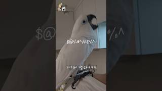 설거지하는 아빠 어깨에서 방언터진 델타~…