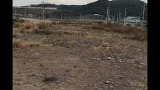 썬코뉴어 3번째 야외 호출및 자유비행 연습니다.