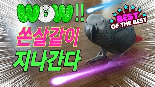 쏜살같이 지나가는 똘이 장편드라마영상~ 길지만 길지않은…