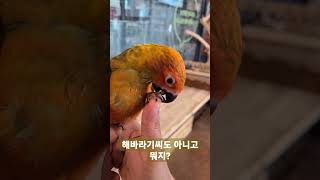 뭐든지 신기할 나이 2개월의 썬코뉴어