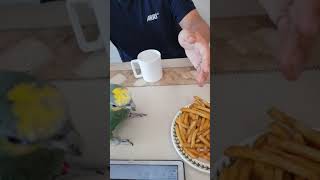 오렌지윙 아마존  초롱이