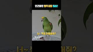 도저히 말로는 못 당하겠다!