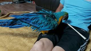 인사잘하는 청금강 구름이 