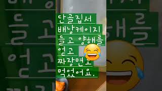 카이큐 울새와 출근해서 외식까지. 꺅~~~#반려조 #울…