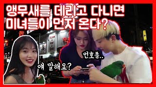 앵무새를 데리고 다니면 미녀가 먼저 다가온다? 강서구청 야킹 feat. 앵무새 잔디