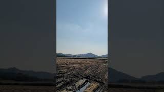 #앵무새자유비행#마카우자유비행#홍금강#청금강#앵무새#자유비행#비행#홍시#가온#루루#루이