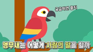 앵무새는 어떤 원리로 사람의 말을 따라할 수 있을까