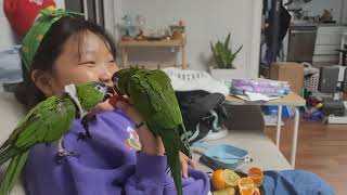 꽁패.한스마카우.뽀미.한나.몆달만에복귀.2022.11.…