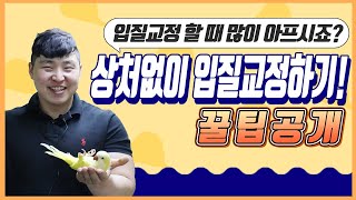 [앵무새키우기]앵무새 입질교정, 아파서 무서우셨나요? 아프지않게 입질교정하는 꿀팁공유♡