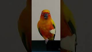 사과가 맛있어요~~