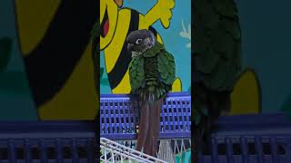 꾸러기 앵무새~~♡