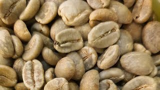 365프로젝트 240번 째.로스팅&핸드드립. 콜롬비아 나리뇨 라 유니온 (특이점) - 레헴 생두 (라이브 2020. 08. 27)