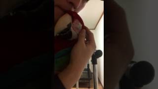 홍금강 앵무새 너랑 나랑은 그렇고 그런 사이니까