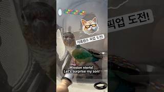 Conure Surprises Kids at Summer Camp | 캠프 픽업에 나선 코뉴어 #parrot #pets #birds