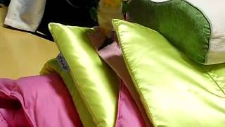 큐돌이 혼자 놀다 오기