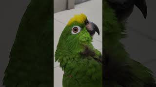 #안녕하세요 #주말이최고여유