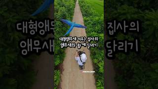 대형앵무새 집사의 바이크로 앵무새 산책 시키기 #바이크…