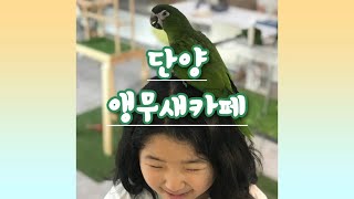 앵무새키우기#한스마카우#베리와 해리의 만남