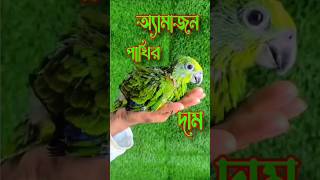 অ্যামাজন পাখির দাম জানুন #shor…