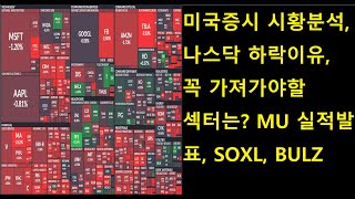 미국증시 시황분석, 나스닥 하락 이유! 꼭 가져가야할 …