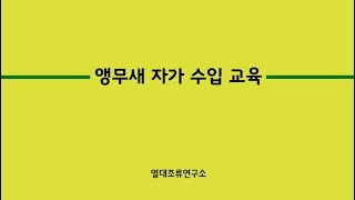 앵무새 자가 수입 교육: 누구나 앵무새를 수입 할 수 있도록..
