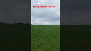 밀리터리 마카우 자유비행 military macaw free flight