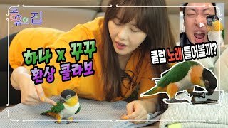 [꾸꾸 심쿵주의] 하나의 은밀한 동거생활! - 하나x꾸…