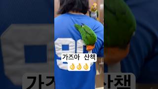 카키마 산책가는 중      #shorts #산책 #엘리베이터 #카이큐 #birds #최양락