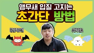 [앵무새키우기]입질교정이 이렇게 쉽게?! 뒤집기 교육까지! 꿀팁대공개!