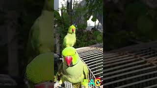 Another day, hearing &quot;Mit…