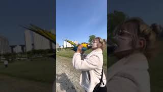 [청금강] 도일이랑 노는 방법 / 뒤집히는 앵무새