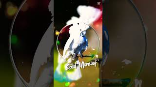 Have a happy day #goodmorning#…