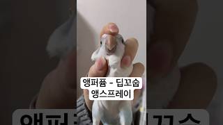 앵무새 스프레이 #앵스프레이 #앵퍼퓸 #블루오파린퀘이커 #parrotlife