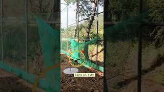 한스마카우 율리 비행연습 in.카페지엘