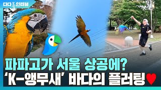 [다다를 인터뷰] &quot;까마귀! 까치! 다 비켜줄…