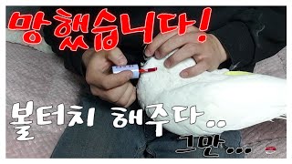 망했습니다.. 볼터치 해주다 그만...