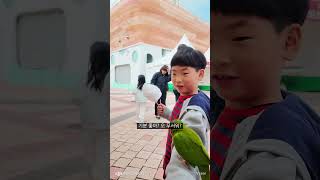 앵무새 체험한 아기빡쪼 #서산 #서산버드랜드 #어린이날…