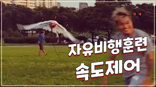 루티노갈라코카투 자유비행 훈련 4일차 - 속도제어