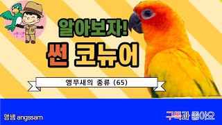 썬코뉴어