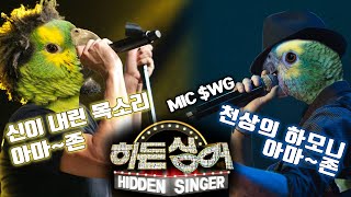 신이 주신 목소리! 아마존 앵무새 키우는 사육 팁! 대…